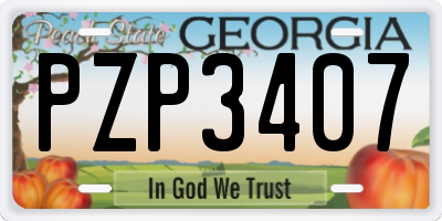 GA license plate PZP3407