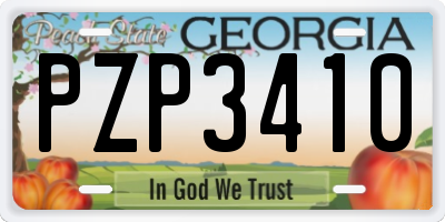 GA license plate PZP3410
