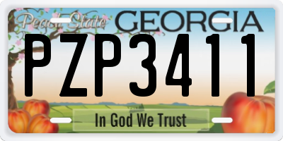 GA license plate PZP3411