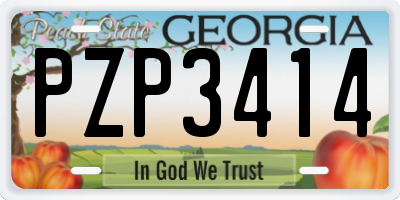 GA license plate PZP3414