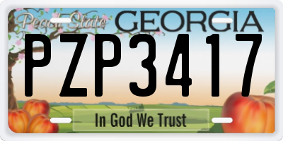 GA license plate PZP3417