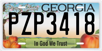 GA license plate PZP3418