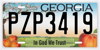 GA license plate PZP3419