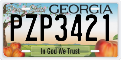 GA license plate PZP3421