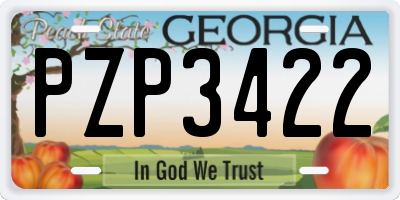 GA license plate PZP3422