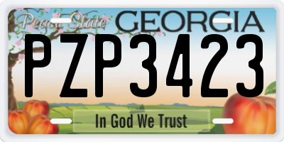 GA license plate PZP3423
