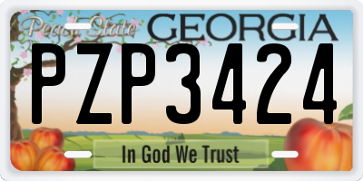 GA license plate PZP3424