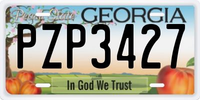 GA license plate PZP3427