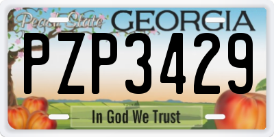 GA license plate PZP3429