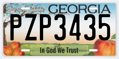 GA license plate PZP3435