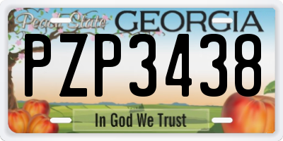 GA license plate PZP3438