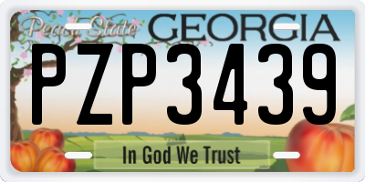 GA license plate PZP3439
