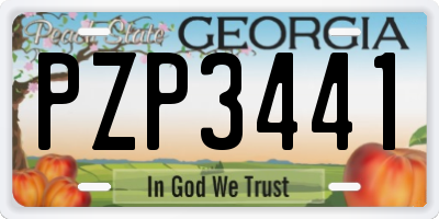 GA license plate PZP3441