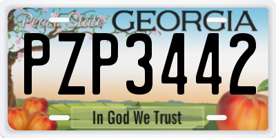GA license plate PZP3442
