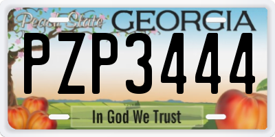 GA license plate PZP3444