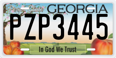 GA license plate PZP3445