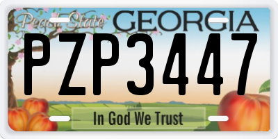 GA license plate PZP3447