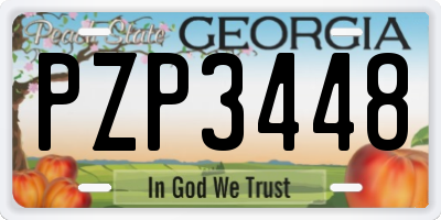 GA license plate PZP3448