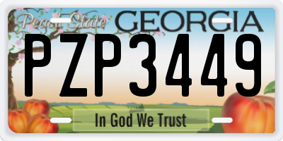 GA license plate PZP3449