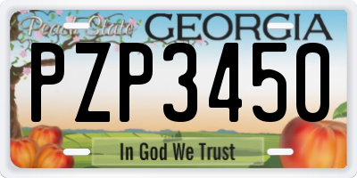 GA license plate PZP3450