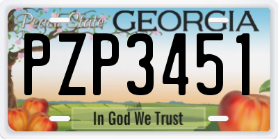 GA license plate PZP3451