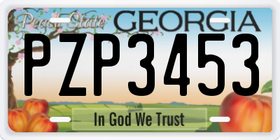 GA license plate PZP3453