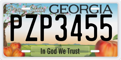 GA license plate PZP3455