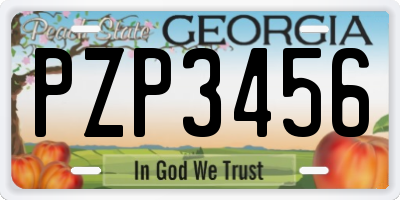 GA license plate PZP3456