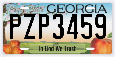 GA license plate PZP3459