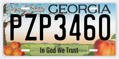 GA license plate PZP3460