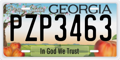 GA license plate PZP3463