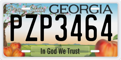 GA license plate PZP3464