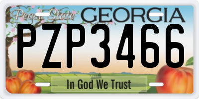 GA license plate PZP3466