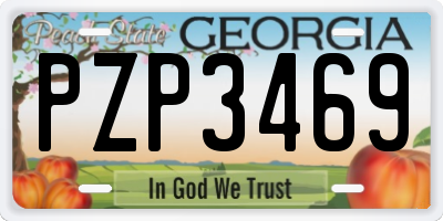 GA license plate PZP3469