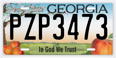 GA license plate PZP3473