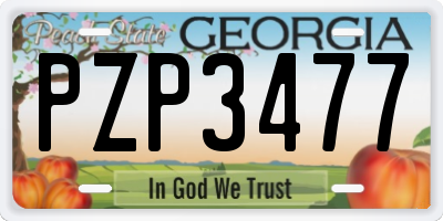 GA license plate PZP3477