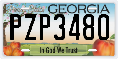 GA license plate PZP3480