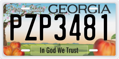 GA license plate PZP3481