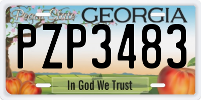 GA license plate PZP3483