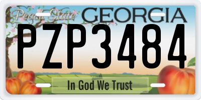 GA license plate PZP3484