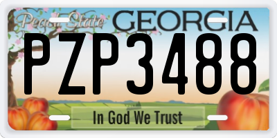 GA license plate PZP3488