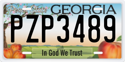 GA license plate PZP3489