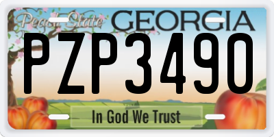GA license plate PZP3490