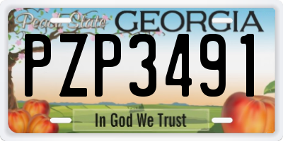 GA license plate PZP3491