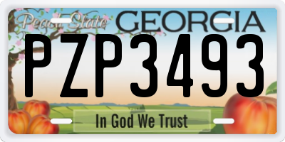GA license plate PZP3493