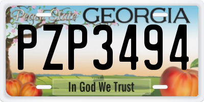 GA license plate PZP3494
