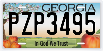 GA license plate PZP3495