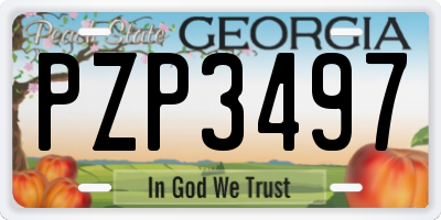 GA license plate PZP3497