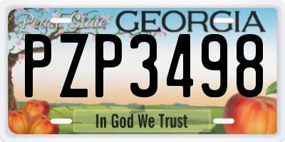GA license plate PZP3498