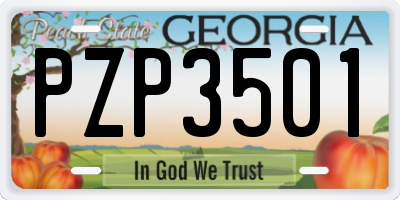 GA license plate PZP3501